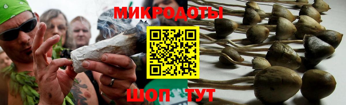 Галлюциногенные грибы GOLDEN TEACHER Выборг